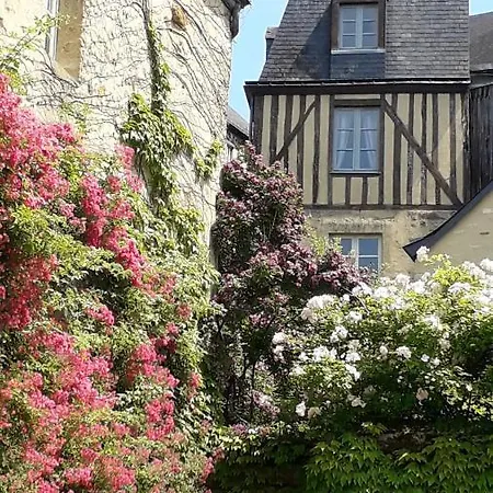 Petite Maison Romantique Au Calme, Coeur Historique Plantagenet, Vue Le Mans