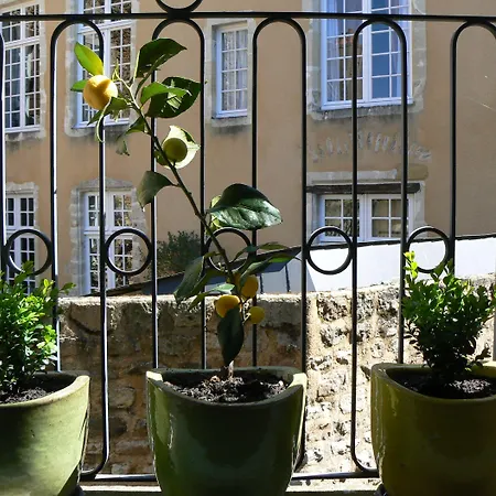 Apartamento Petite Maison Centre Historique, Vue Ville Et Jardin, Au Calme, Classee Le Mans