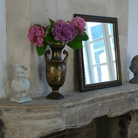 Petite Maison Romantique Au Calme, Coeur Historique Plantagenet, Vue Le Mans