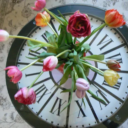 Petite Maison Romantique Au Calme, Coeur Historique, Vue Et Jardin