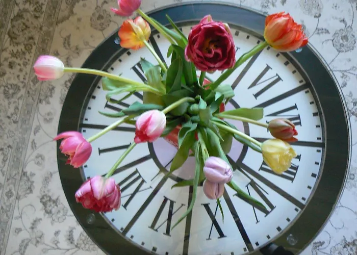 Petite Maison Romantique Au Calme, Coeur Historique, Vue Et Jardin
